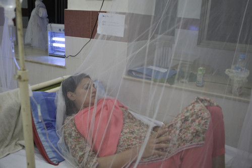  الصحة العالمية  تسعى للسيطرة على حمى الضنك في باكستان