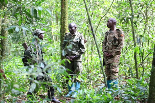 مقتل 4 عسكريين و12 متمرداً في معارك شرق الكونغو