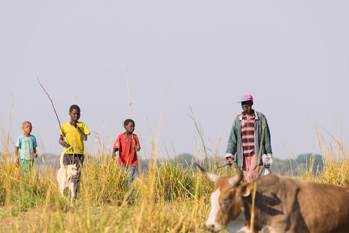 منظمة بحثية: تحويل الأنظمة الزراعية في زيمبابوي لـ«مقاومة للتغيرات المناخية»