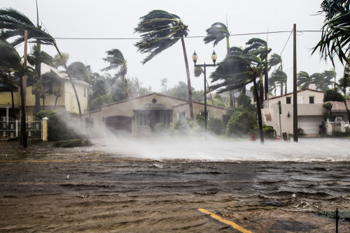 «ميونخ ري»: إعصار «راي» ثاني أكثر الأخطار الطبيعية فتكاً في العالم خلال 2021