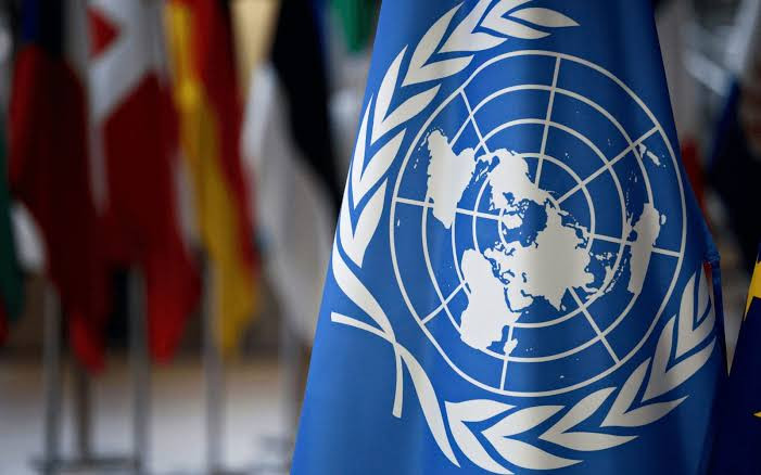 مجلس حقوق الإنسان في جنيف يتمسك بالسفير السوداني المقال