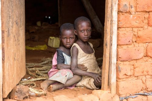 منظمات دولية: تمرد «بوكو حرام» عرّض الأمن الغذائي لملايين النيجيريين للخطر
