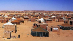 مخيمات تندوف تطلق نداءً عاجلاً للمنظمات الأممية بشأن أزمة الغذاء والدواء‬