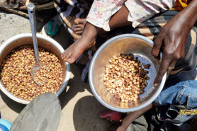 الصليب الأحمر: ربع سكان إفريقيا يواجهون أزمة أمن غذائي "مقلقة"