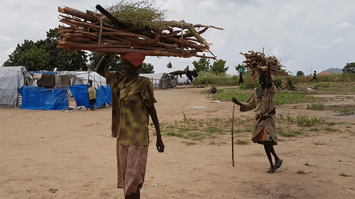 «جامعات الحطب» في جنوب السودان يواجهن الأفاعي والتماسيح لإعالة أسرهن