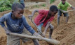 مدير عام «العمل الدولية»: عمالة الأطفال تعد انتهاكاً لحقوق الإنسان