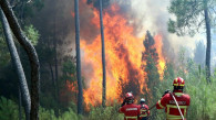 فرنسا.. إجلاء 3 آلاف شخص بسبب حرائق الغابات في "أفيرون"