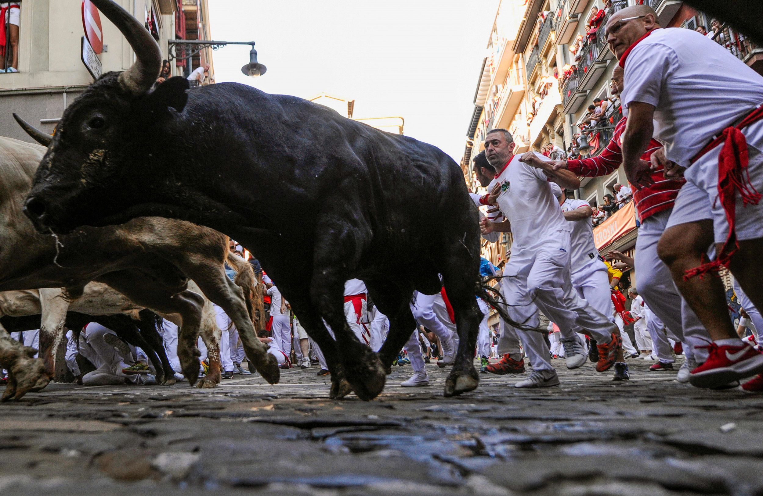 هوايات قاتلة.. مهرجانات الثيران في إسبانيا تحصد الأرواح وتنتهك حقوق الحيوانات
