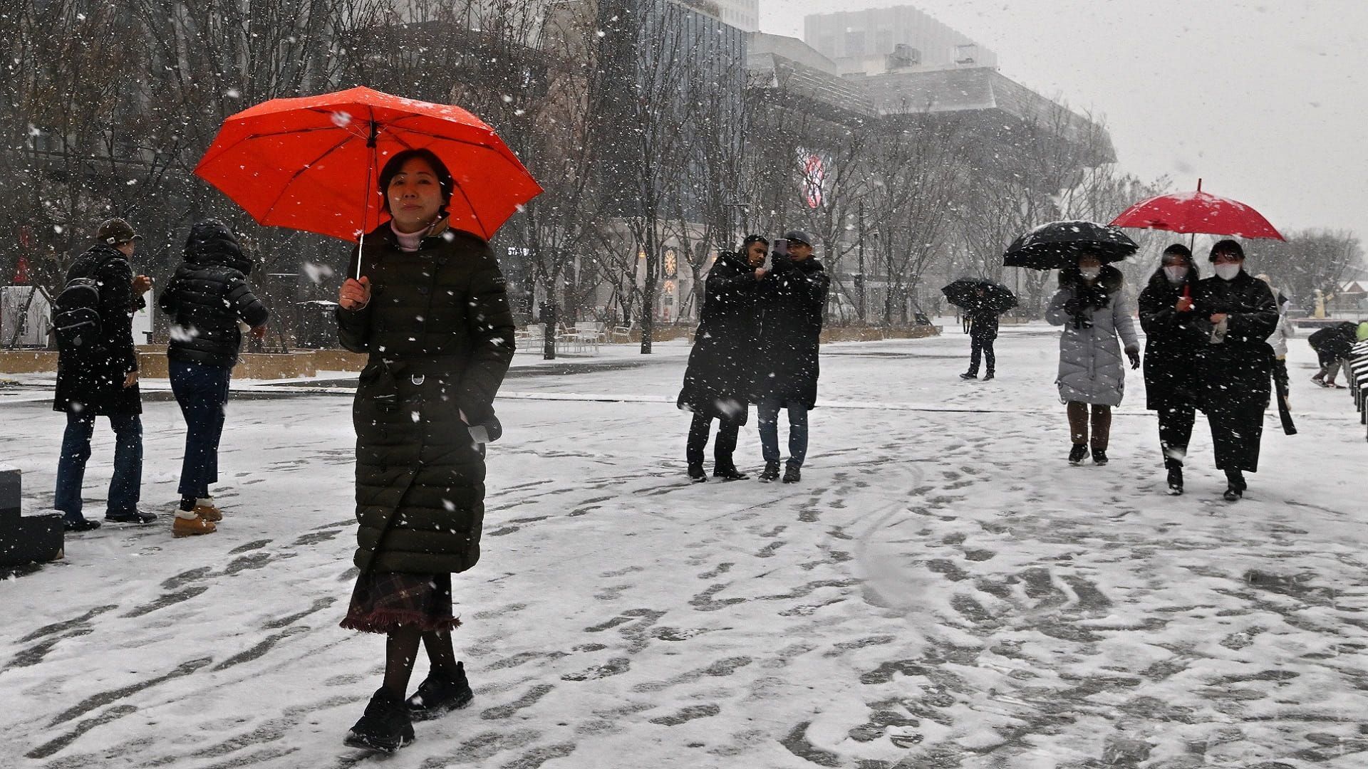 إلغاء رحلات جوية جراء تساقط كثيف للثلوج في كوريا الجنوبية