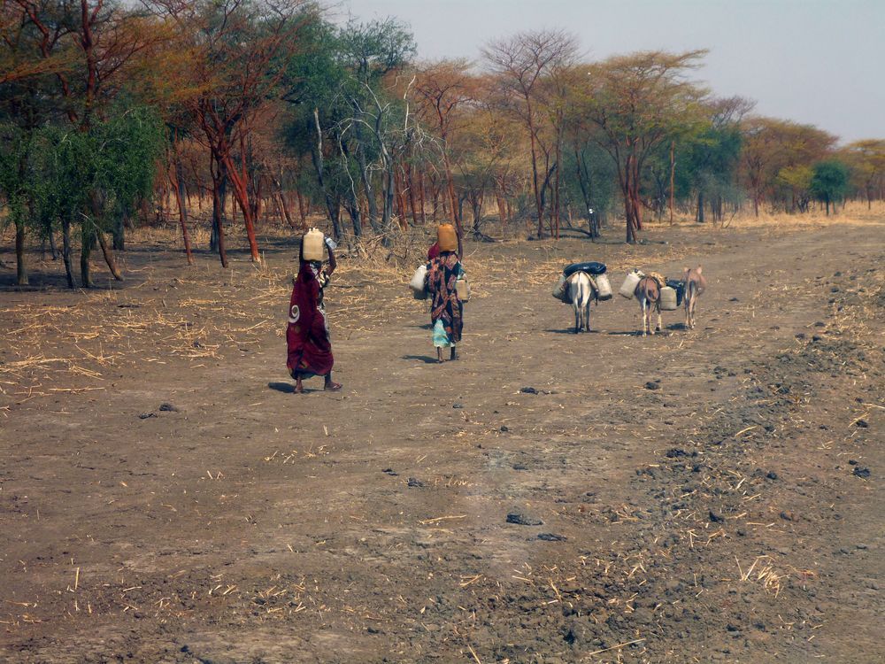 الأمم المتحدة تحذر من أزمة إنسانية بشرق إفريقيا بسبب اضطرابات السودان