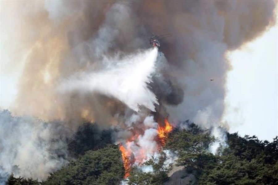 حرائق الغابات في كندا تجبر الآلاف على ترك منازلهم