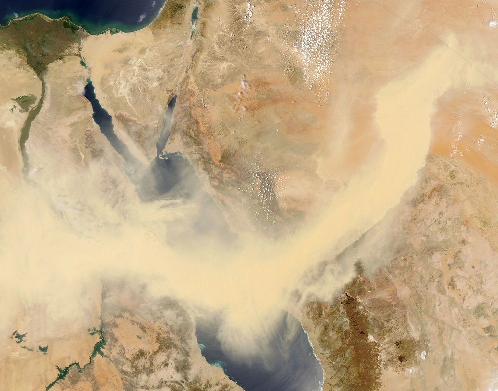 خبير بيئي: لا أحد ينجو من خسائر تغير المناخ في مصر والعالم
