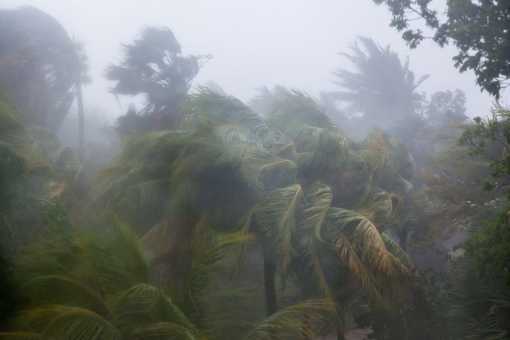 الإعصار دوكسوري يضرب الفلبين ويهدد سواحل تايوان والصين