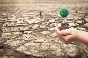 اليوم الدولي لمكافحة التصحر والجفاف 2025.. دعوة عالمية لاستثمار الفرص الخضراء
