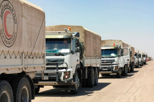 قافلة مساعدات تدخل السويداء.. وصرخات السكان تعلو: "نريد الحياة"
