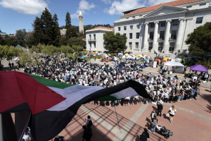 خبراء أمميون: إجراءات واشنطن ضد مؤيدي فلسطين بالجامعات انتهاك لحرية التعبير