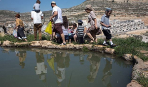 بين أنابيب مكسورة وينابيع مسلوبة.. الفلسطينيون في مواجهة العطش المدبّر بالضفة الغربية