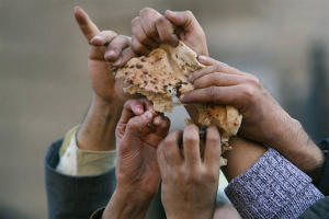 الجوع في العالم.. أزمة إنسانية متفاقمة تُهدد الحقوق والحياة