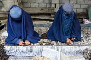 النساء الرياديات خارج النظام المالي.. تحذير أممي من أزمة تمييز اقتصادي تهدد نصف المجتمع الأفغاني