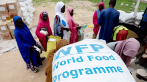 بسبب تصاعد العنف.. "الأغذية العالمي" يحذر من أزمة مجاعة محتملة بشمال نيجيريا