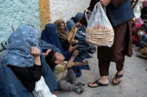 الشتاء يفاقم الجوع ويهدد أكثر من 17 مليون شخص في أفغانستان