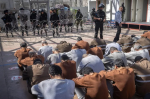 أجساد جائعة تحت التعذيب.. تقرير يوثق أخطر الانتهاكات بحق الأسرى الفلسطينيين