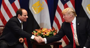 مصر تنضم إلى مجلس السلام لغزة وسط تباينات دولية وتحفظات غربية