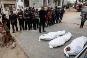 إحصائيات تكشف فداحة الخسائر البشرية في غزة والتداعيات الإنسانية للانتهاكات الإسرائيلية