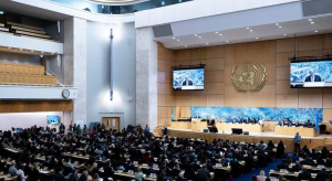 العنف والنزوح والفقر في جنوب السودان.. مجلس حقوق الإنسان يدق ناقوس الخطر من جنيف