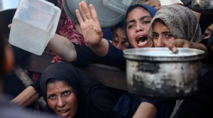 نساء غزة بين الحرب والتهجير.. صمود إنساني يواجه واحدة من أعنف الأزمات العالمية